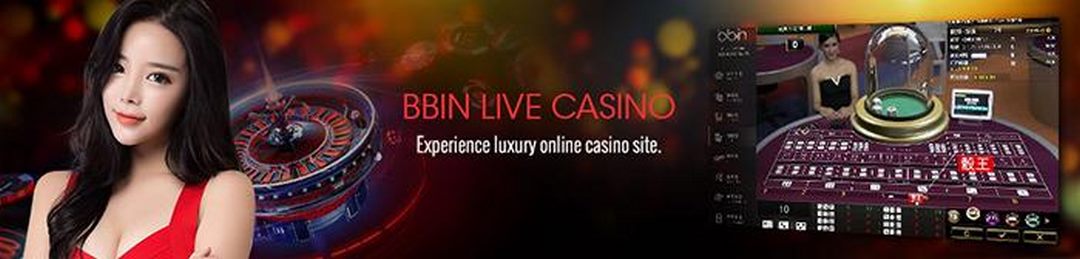 Lĩnh vực live casino mang lại nguồn doanh thu khủng