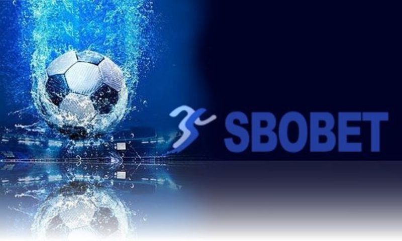 Điều kiện khi thực hiện đăng ký Sbobet