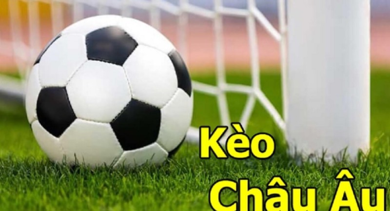 Hướng dẫn đọc kèo châu Âu hiệu quả tại Sbobet